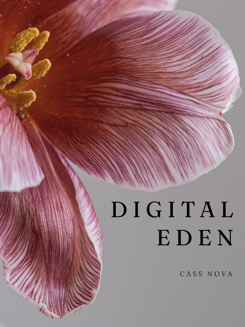 bookstore-product-06